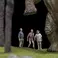 Welcome to the Jurassic Park 