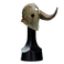 Warhammer: Age of Sigmar -Putrid Blightking Helm Replica