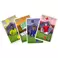 World Football Stars WHOT! Card Game Multillingual