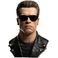 PureArts Terminator 2 : T-800 Model 101 1/1 Scale Art Mask