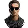 PureArts Terminator 2 : T-800 Model 101 Battle Damaged 1/1 Scale Art Mask