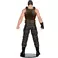 DC Multiverse Bane (The Dark Knight Rises) 7in Action Figure (Deluxe Theatrical Edition) McFarlane Toys