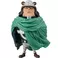 Bandai - One Piece Mega World Collectable Figure-Bartholomew Kuma