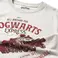 Harry Potter T-shirt - Hogwarts Express, Grey M