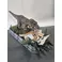 OUTLET Iron Studios Jurassic Park - T-Rex attacks Donald Gennaro Statue Demi Scale 1/20