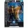 DC Multiverse Hawkgirl (Kendra Saunders) 7in Deluxe Action Figure McFarlane Collector Edition #63