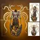 Blizzard Diablo IV - Inarius Premium Statue Scale 1/6
