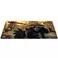 World Of Warcraft: Pandaria, Mousepad (Limited edition), XL