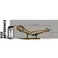 PureArts Elden Ring - Arm of Malenia Mini Replica 1/3 Scale