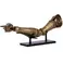 PureArts Elden Ring - Arm of Malenia Mini Replica 1/3 Scale