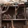 Weta Workshop The Hobbit Trilogy - Radagast In Rhosgobel 1:6 Scale Statue
