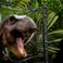 Iron Studios Jurassic Park - T-Rex Scene- T-Rex Breakout Set A Icons