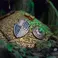 Beholder - Dungeons and Dragons - Icons - Iron Studios